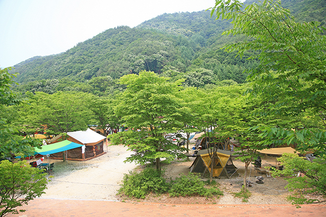 덕유대야영장 내 자동차야영장 전경 ▲ 덕유대야영장 내 자동차야영장 전경