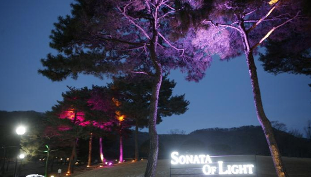 오크밸리의 숲 산책로(숨길)를 재구성한 소나타오브라이트 진입로 ▲ 오크밸리의 숲 산책로(숨길)를 재구성한 소나타오브라이트 진입로