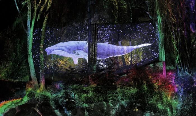▲ 고래가 헤엄치는 환상적인 영상이 나타나는 ‘숲속의 오케스트라’