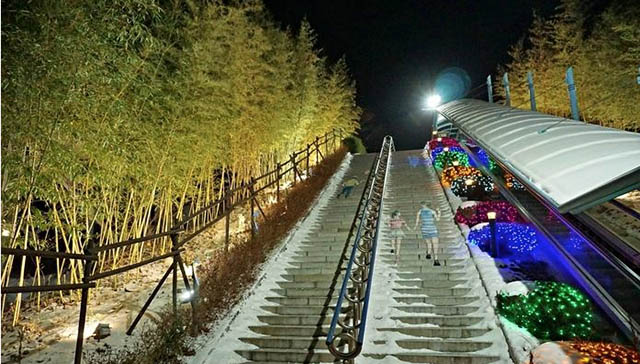 춘향테마파크 입구의 아담한 대숲과 야경 ▲ 춘향테마파크 입구의 아담한 대숲과 야경