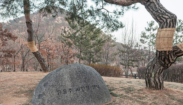 윤동주시인의언덕 표석 ▲ 윤동주시인의언덕 표석
