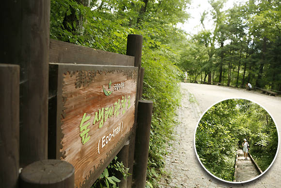포천 국립수목원 숲 생태 관찰로